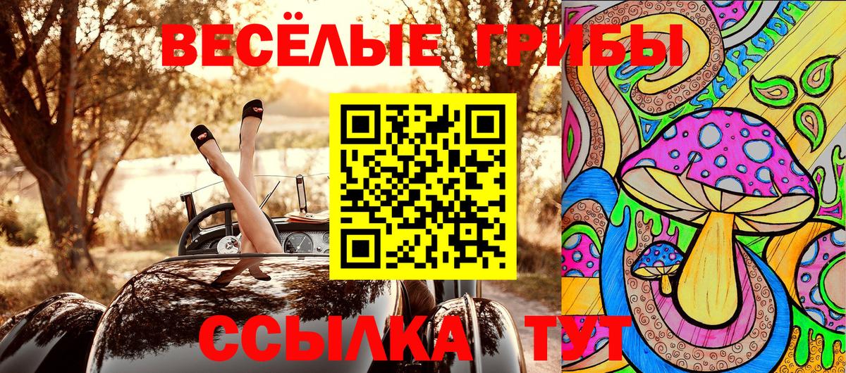 Галлюциногенные грибы прущие грибы  Галлюциногенные грибы Psilocybe  Вход с VPN  Коркино 