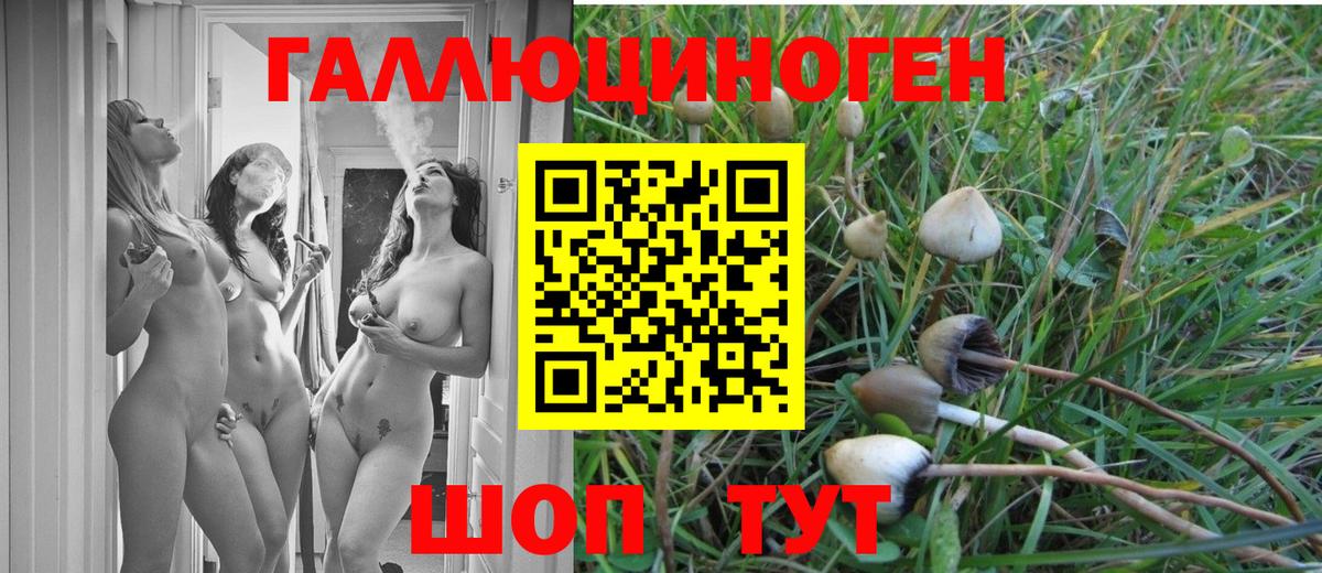 Псилоцибиновые грибы мухоморы Коркино